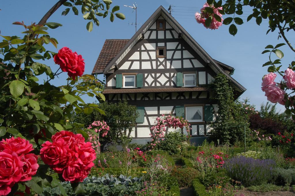 Pflugwirts Hotel Und Gasthaus Оберкірх Екстер'єр фото
